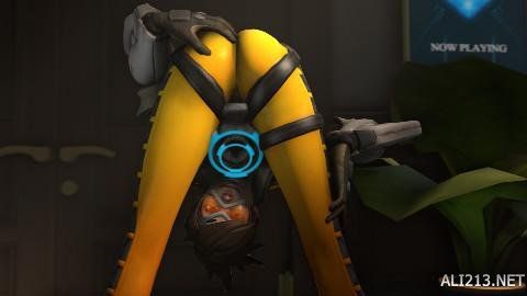 魔皇神佛鲨 魔皇神佛鲨